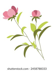 Flores de peonía rosa en ramas en diseño plano. Ramo romántico floreciente. Ilustración vectorial aislada.