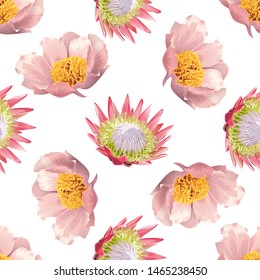 Pink Peony. Pink Protea. Vector illustration. Seamless background pattern. Floral botanical flower. Wild leaf wildflower isolated. Exotic tropical hawaiian jungle. Fabric wallpaper print texture.