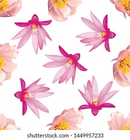 Pink Peony. Purple Hatiora. Vector illustration. 