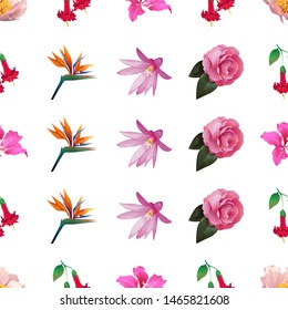 Pink Peony. Red Angel Trumpet. Pink Bauhinia Purpurea. Orange Strelitzia Reginae. Purple Hatiora. Pink Balsam. Vector illustration. Seamless background pattern. Floral botanical flower. Wild leaf.