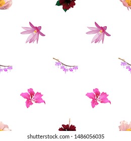 Pink Peony. Red Rose Mallow. Purple Komakusa. Purple Hatiora. Pink Bauhinia Purpurea. Vector illustration. Seamless background pattern. Floral botanical flower. Wild leaf wildflower isolated. Exotic.