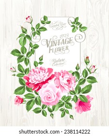 Pink peony with a vintage label over wooden texture. Vector illustration.