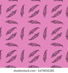 Pink pepper, illustration, vector on white background.