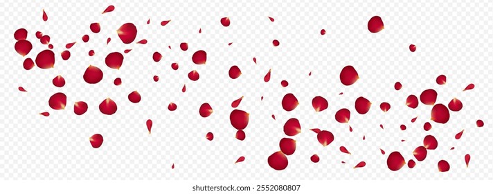 Pink Petal Fall Vector Panoramic Transparent Background. Spring Flower Illustration. Red Cherry Flying Wallpaper. Delicate Peach Japanese Design.