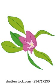 Pink petal flower