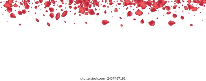 Fondo blanco panorámico del vector de la mosca del pétalo rosado. Belleza Diseño Floral. Patrón japonés de loto rojo. Delicada plantilla de otoño de cereza.