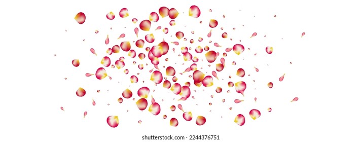 Pink Petal Japan Vector Panoramic White Background. Fly Cherry Wallpaper. Red Peach Fall Template. Beautiful Blossom Summer Frame.