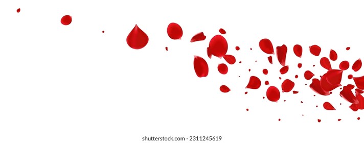 Pink Petal Spring Vector Panoramic White Background. Fly Floral Texture. Beautiful Sakura Japanese Pattern. Delicate Rose Falling Frame.