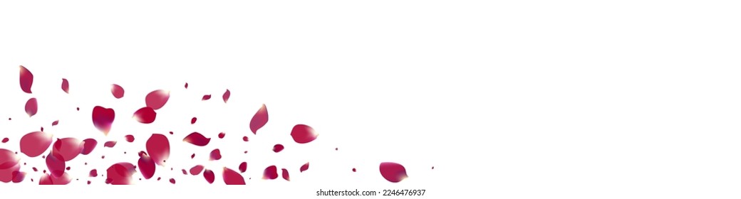 Pink Petal Spring Vector White Panoramic Background. Summer Floral Poster. Beautiful Lotus Blur Pattern. Purple Peach Fall Illustration.