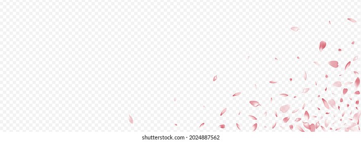 Pink Petal Vector Panoramic Transparent Background. Cherry Japanese Template. Bloom Flutter Texture. Sakura Falling Design. Red Rosa Wind Banner.