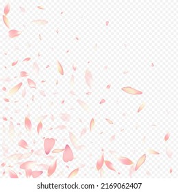 Fondo transparente del vector Petal rosado. Afiche gráfico de Sakura. Tarjeta Rosa Romance. Pancarta de Rose Soft. El fondo del corazon brillante.