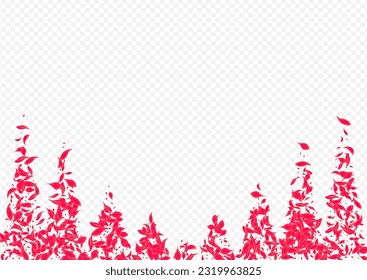 Pink Petal Vector Transparent Background. Flying Rose Banner. Red Blossom Beauty Pattern. Delicate Fall Lotus Wallpaper.