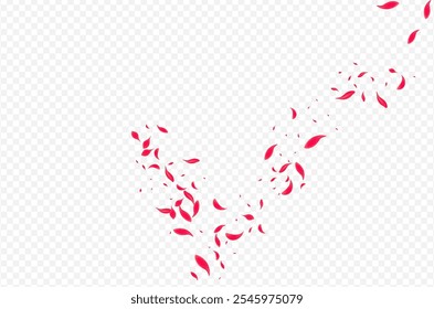 Pink Petal Vector Transparent Background. Falling Flower Texture. Red Sakura Japan Wallpaper. Beautiful Fly Floral Banner.