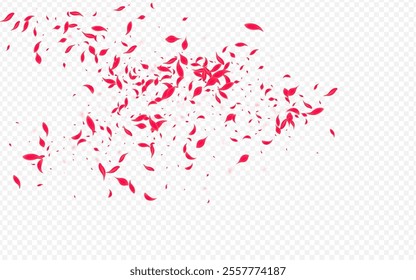 Pink Petal Vector Transparent Background. Fly Cherry Design. Delicate Floral Flying Banner. Beautiful Spring Sakura Frame.