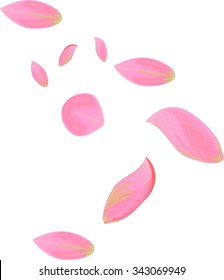 pink petals