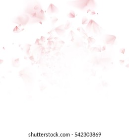 Pink petals background. EPS 10 vector file included