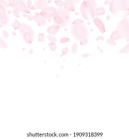 Pink petals dancing in the wind, fluffy and fantastic background illustration