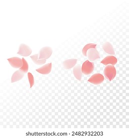 pink petals Enchanting vector background with delicate  swirling against transparency. Evoking nature's beauty, captivates with vibrant colors, perfect for banners celebrating spring's allure and love