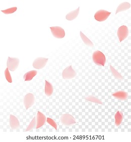 pink petals Enchanting vector background with delicate  swirling against transparency. Evoking nature's beauty, captivates with vibrant colors, perfect for banners celebrating spring's allure and love