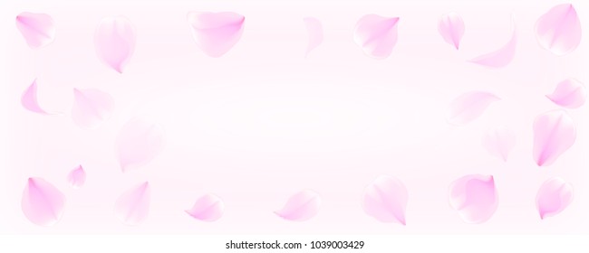 Pink petals falling of cherry blossom or  sakura flowers, romantic background , vector,illustration , image.