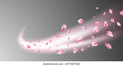 Pink petals falling on abstract floral background with beautiful petal greeting card design. Vector illustration
