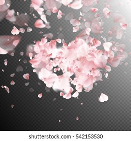 Pink petals falling on transparent background for Saint Valentine Day greeting card design. Flower petal in shape of heart. EPS 10 vector file included