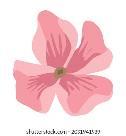 pink petals flower nature icon