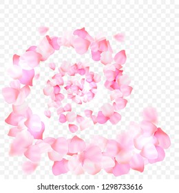 pink petals and flowers of cherry blossom isolated on transparent background. Falling blossom background. Vector