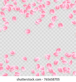 Pink petals Isolated on transparent background. And also includes EPS 10 vector