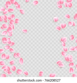Pink petals Isolated on transparent background. And also includes EPS 10 vector