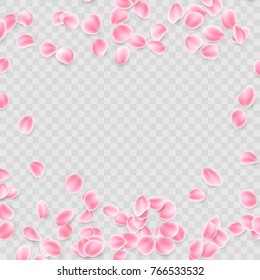 Pink petals Isolated on transparent background. And also includes EPS 10 vector