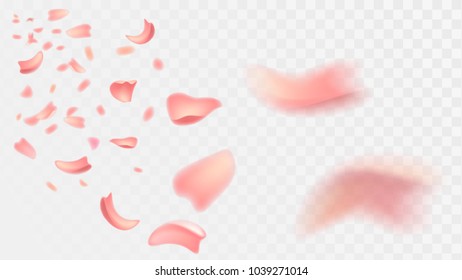 Pink petals on a transparent background