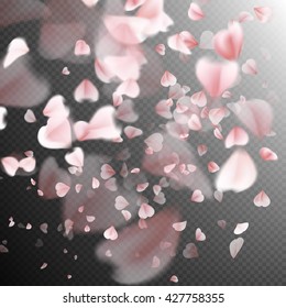 Pink petals on transparent background. EPS 10 vector file included