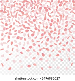 Pink Petals of Sakura. Wedding Template with Flower Petals. Summer Vector Graphics. Nature Realistic 3d Elements. Japanese SPA Banner. Creative Floral Rose Swirl. Flying Falling Cherry Flowers.