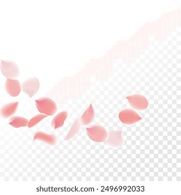 Pétalos rosados de Sakura. Plantilla de Boda con pétalos de flores. Gráficos de Vector de verano. Naturaleza Elementos 3D realistas. Anuncio japonés SPA. Remolino floral creativo de la rosa. Flores De Cerezo Voladoras.