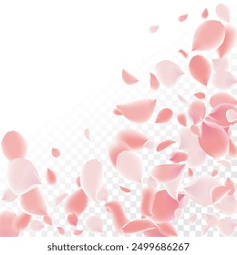 Pétalos rosados de Sakura. Plantilla de Boda con pétalos de flores. Gráficos de Vector de verano. Naturaleza Elementos 3D realistas. Anuncio japonés SPA. Remolino floral creativo de la rosa. Flores De Cerezo Voladoras.  