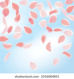 Pink Petals of Sakura. Wedding Template with Flower Petals. Summer Vector Graphics. Nature Realistic 3d Elements. Japanese SPA Banner. Creative Floral Rose Swirl. Flying Falling Cherry Flowers.