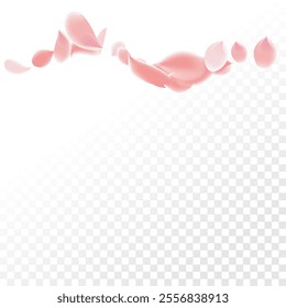 Pink Petals of Sakura. Wedding Template with Flower Petals. Summer Vector Graphics. Nature Realistic 3d Elements. Japanese SPA Banner. Creative Floral Rose Swirl. Flying Falling Cherry Flowers.  