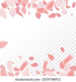 Pink Petals of Sakura. Wedding Template with Flower Petals. Summer Vector Graphics. Nature Realistic 3d Elements. Japanese SPA Banner. Creative Floral Rose Swirl. Flying Falling Cherry Flowers.  