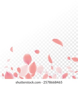 Pink Petals of Sakura. Wedding Template with Flower Petals. Summer Vector Graphics. Nature Realistic 3d Elements. Japanese SPA Banner. Creative Floral Rose Swirl. Flying Falling Cherry Flowers. 