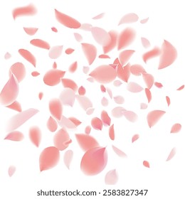 Pink Petals of Sakura. Wedding Template with Flower Petals. Summer Vector Graphics. Nature Realistic 3d Elements. Japanese SPA Banner. Creative Floral Rose Swirl. Flying Falling Cherry Flowers.  