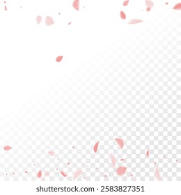 Pink Petals of Sakura. Wedding Template with Flower Petals. Summer Vector Graphics. Nature Realistic 3d Elements. Japanese SPA Banner. Creative Floral Rose Swirl. Flying Falling Cherry Flowers.  