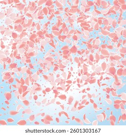 Pink Petals of Sakura. Wedding Template with Flower Petals. Summer Vector Graphics. Nature Realistic 3d Elements. Japanese SPA Banner. Creative Floral Rose Swirl. Flying Falling Cherry Flowers.  