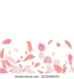 Pink Petals of Sakura. Wedding Template with Flower Petals. Summer Vector Graphics. Nature Realistic 3d Elements. Japanese SPA Banner. Creative Floral Rose Swirl. Flying Falling Cherry Flowers.  