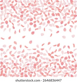 Pink Petals of Sakura. Wedding Template with Flower Petals. Summer Vector Graphics. Nature Realistic 3d Elements. Japanese SPA Banner. Creative Floral Rose Swirl. Flying Falling Cherry Flowers. 