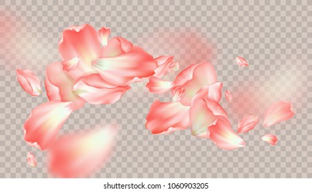 Pink petals soar in the air. Isolated on transparent background. Vector Flower elements for the design of cosmetics or romantic wedding invitation design.