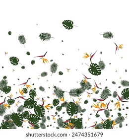 Pink Philodendron Background White Vector. Palm Beauty Pattern. Orange Monstera. Fashion Texture. Green Brazil Frame.