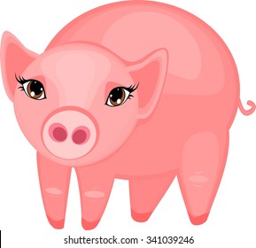 Pink pig