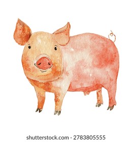 Pink pig with big ears standing