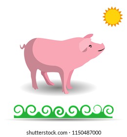 Pink Pig, cartoon on white background, vector